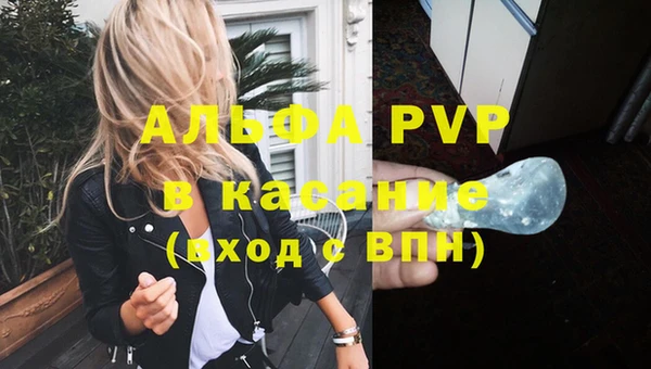 крисы Балахна
