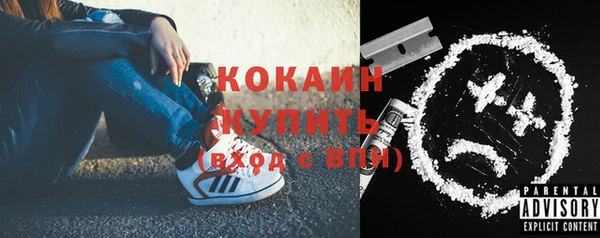 индика Белокуриха