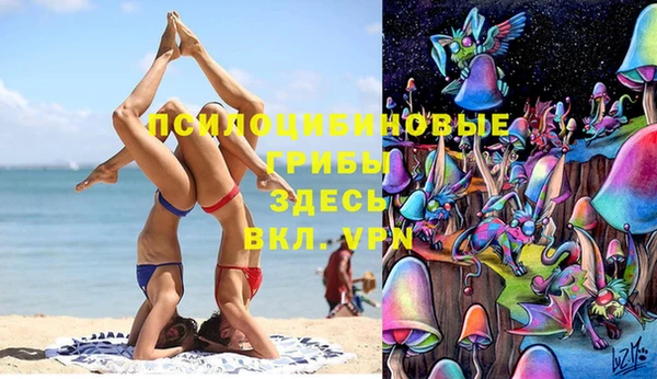 apvp Баксан