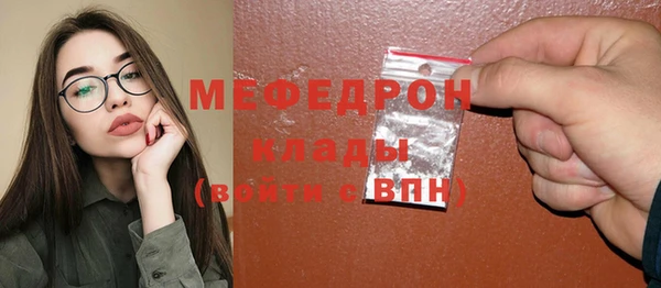 индика Белокуриха