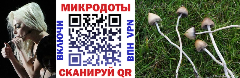 наркотики  Галич  Галлюциногенные грибы GOLDEN TEACHER 